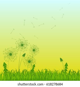 Dandelions in the grass. Vector illustration.