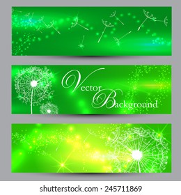 Dandelions green background