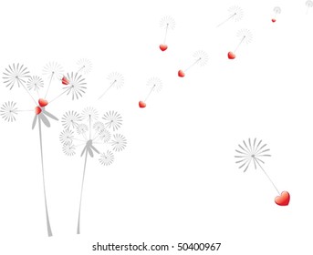 dandelions with hearts