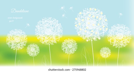 Dandelions on a background of meadows, white contour, vector illustration