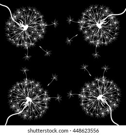 Dandelions on black background