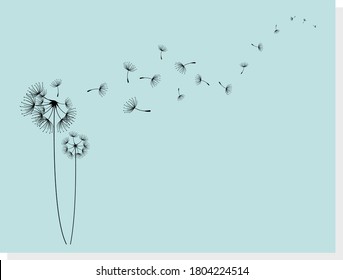 Dandelions on the blue background. Vector illustration.