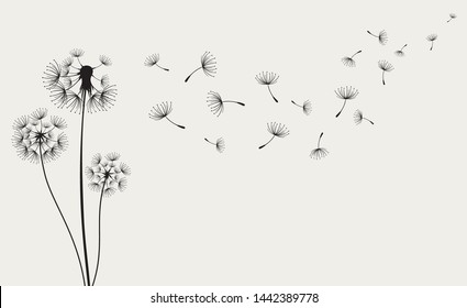 Dandelions on the cream background. Vector dandelion.Card with abstract flowers, dandelions