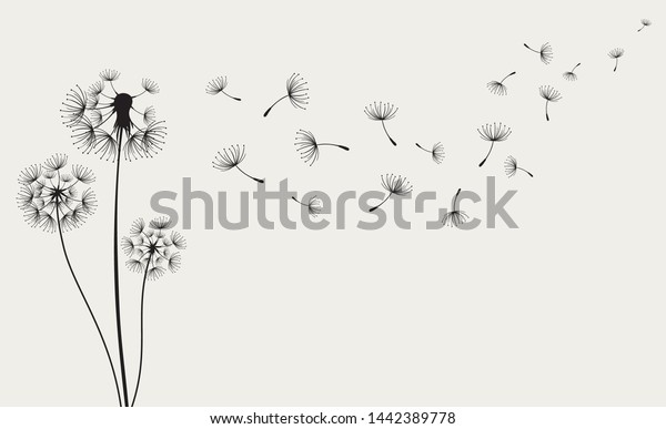 Dandelions on the cream background.\
Vector dandelion.Card with abstract flowers,\
dandelions