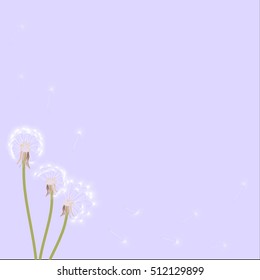 dandelions on light beige background, vector illustration