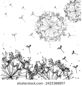 Dientes de león en un fondo blanco.dibujado a mano .diseño lineal.semillas de dispersión. design.dientes de león en perspectiva.ilustración vectorial EPS10
