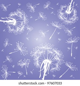 Dandelions over violet sky