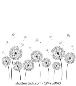 Dandelions plant on white background vector