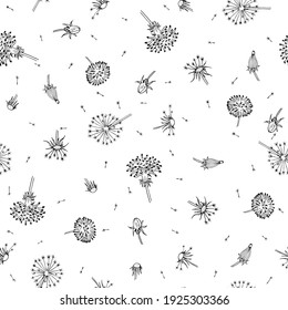 Dandelions seamless. Fly seeds of dandelion. Summer background with black flowers and flying seed.