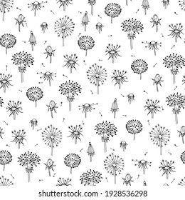 Dandelions seamless. Fly seeds of dandelion. Summer background with black flowers and flying seed.