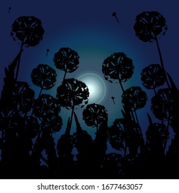 Dandelions silhouettes in the moonlight. Calm good night illustration