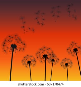 Dandelions at sunset. The word "Love" from leafless petals of a dandelion. Vector illustration.