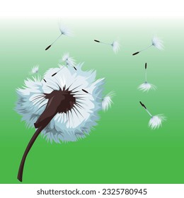 The dandelions are swaying in the soft breeze.