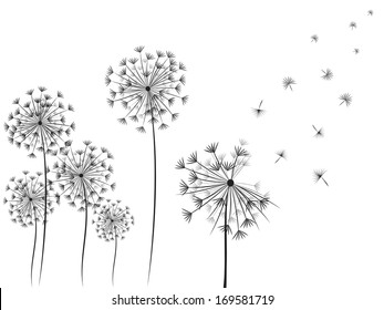 Dandelions vector.