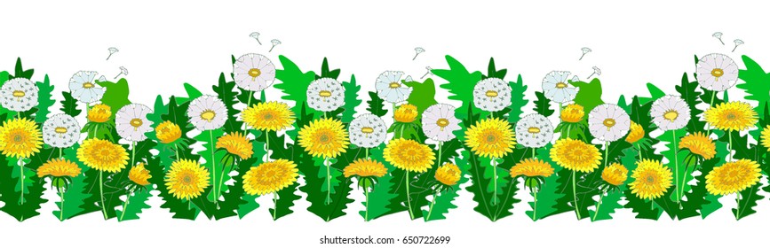Dandelions.  Vector illustration isolated on white, seamless pattern.