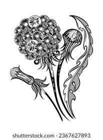 Dandelions  with view of whole plant with stalk leaves and flowers  vector illustration