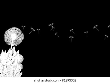 Dandelions with which scatter the seeds. Black and white illustration