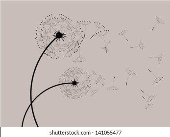 Dandelions in the wind