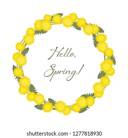 Dandelions wreath on a white background. Floral round frame from yellow flowers. Greeting card template. There is also a text "Hello, Spring" here. Vector illustration