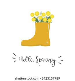 Dandelions in yellow rain boot. Yellow spring flowers. Hello Spring concept. Floral composition. Vector illustration on white