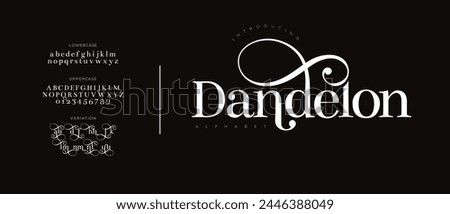 Dandelon elegant Font Uppercase Lowercase and Number. Classic Lettering Minimal Fashion Designs. Typography modern serif fonts regular decorative vintage concept. vector illustration