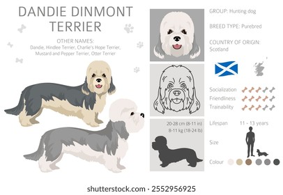 "Dandie dinmont terrier puppy clipart" . Poses diferentes, conjunto de cores de casaco.  Ilustração vetorial