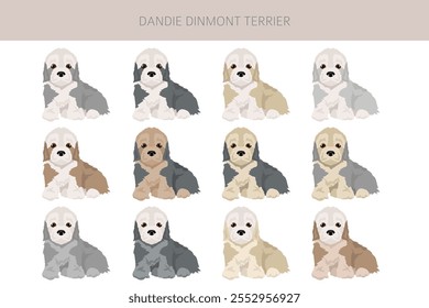 "Dandie dinmont terrier puppy clipart" . Poses diferentes, conjunto de cores de casaco.  Ilustração vetorial