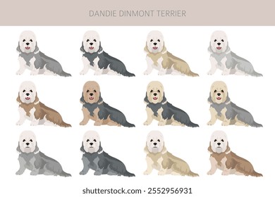 "Dandie dinmont terrier puppy clipart" . Poses diferentes, conjunto de cores de casaco.  Ilustração vetorial