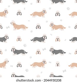 Dandie dinmont terrier seamless pattern. Different poses, coat colors set.  Vector illustration