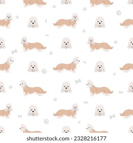 Dandie dinmont terrier seamless pattern. Different poses, coat colors set.  Vector illustration