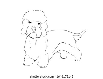 Dandie Dinmont Terrier. Vector outline stock illustration realistic lines silhouette logo, print,tattoo, coloring book.
