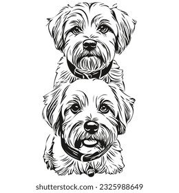 Dandie Dinmont Terriers dog cartoon face ink portrait, black and white sketch drawing, tshirt print sketch drawing