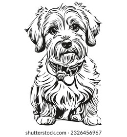 Dandie Dinmont Terriers dog head line drawing vector,hand drawn illustration with transparent background realistic breed pet