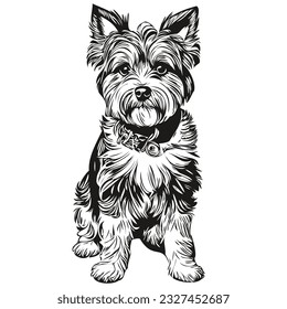 Dandie Dinmont Terriers dog line illustration, black and white ink sketch face portrait in vector