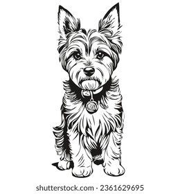 Dandie Dinmont Terriers dog outline pencil drawing artwork, black character on white background sketch drawing