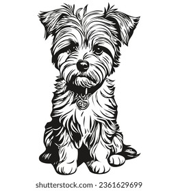 Dandie Dinmont Terriers dog outline pencil drawing artwork, black character on white background