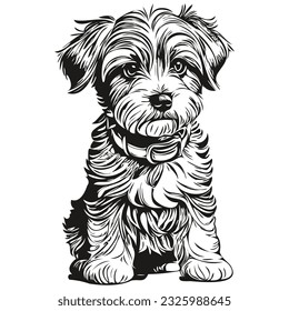 Dandie Dinmont Terriers dog pencil hand drawing vector, outline illustration pet face logo black and white