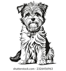 Dandie Dinmont Terriers dog realistic pencil drawing in vector, line art illustration of dog face black and white sketch drawing