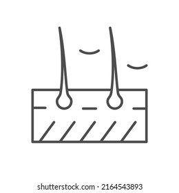 Icono de esquema de línea de esquema de esquema de dandruff