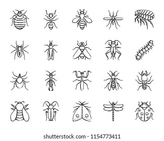 Danger insect charcoal icons set. Grunge outline sign kit of bugs. Beetle linear icon collection includes ladybug, mantis, flea. Hand drawn simple danger insect symbol on white. Vector Illustration