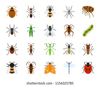 Danger Insect flat icons set. Sign kit of bed bug. Beetle pictogram collection includes dragonfly, fly, spider. Simple danger insect cartoon colorful icon symbol isolated on white. Vector Illustration