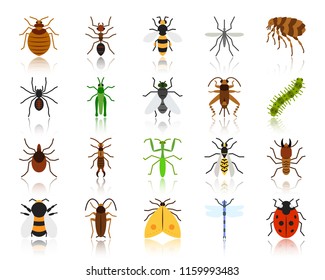 Danger Insect flat icons set. Web sign kit of bugs. Beetle pictogram collection includes dragonfly, fly spider. Simple danger insect cartoon colorful icon symbol isolated on white. Vector Illustration