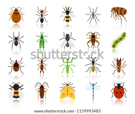 Danger Insect flat icons set. Web sign kit of bugs. Beetle pictogram collection includes dragonfly, fly spider. Simple danger insect cartoon colorful icon symbol isolated on white. Vector Illustration