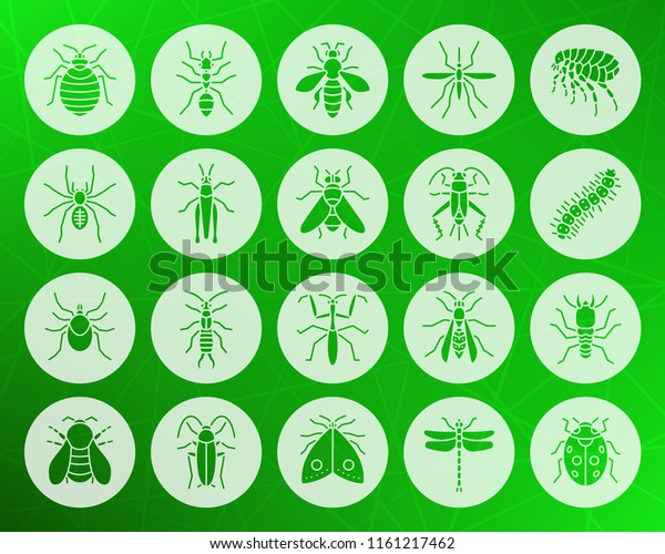 Danger Insect icons set. Web sign kit of bugs.\
Beetle pictogram collection includes ant, bee, cockroach. Simple\
danger insect vector symbol. Icon shape carved from circle on\
colorful background
