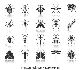 Danger Insect silhouette icons set  Monochrome web sign kit bugs  Beetle pictogram collection includes mite wasp  gnat mosquito  Simple vector black symbol  Danger Insect shape icon and reflection