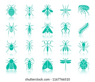 Danger Insect silhouette icons set. Sign kit of bed bug. Beetle pictogram collection caterpillar, earwig, aphid. Simple danger insect contour symbol with reflection Vector Icon shape isolated on white