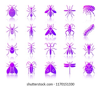 Danger Insect silhouette icons set with reflection. Color sign kit of bed bug. Beetle vector pictogram collection mite, wasp, gnat mosquito Gradient contour simple danger insect icon isolated on white