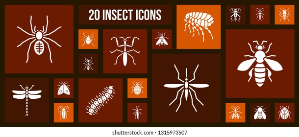 Danger Insect silhouette icons set. Isolated web sign kit of bed bug. Pictogram collection includes beetle, ant, bee, cockroach. Simple white contour symbol. Danger Insect vector Icon shape