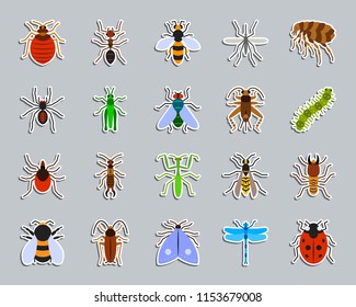 Danger Insect sticker icons set. Web flat sign kit of bed bug. Beetle pictograms includes termite, mole, bedbug. Simple danger insect symbol. Colorful icon for patch, badge, pin. Vector Illustration