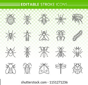 Danger Insect Thin Line Icons Set. Outline Web Sign Kit Of Bed Bug. Beetle Linear Icon Collection Includes Ant, Bee, Cockroach. Editable Stroke Without Fill. Danger Insect Simple Contour Vector Symbol